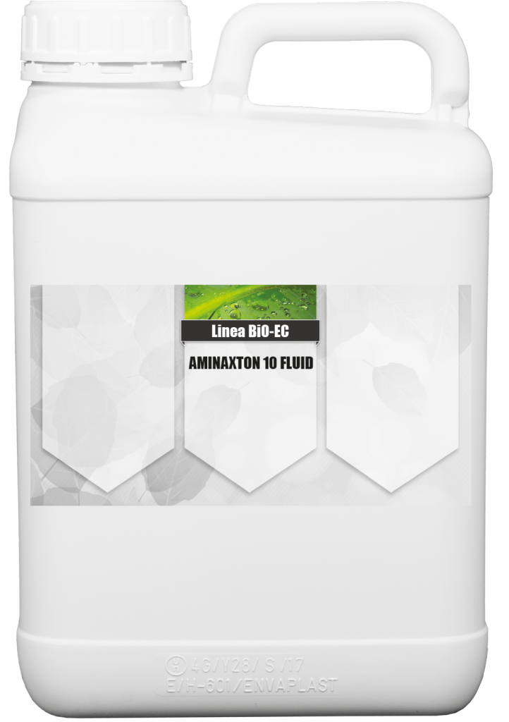 Aminaxton 10 Fluid