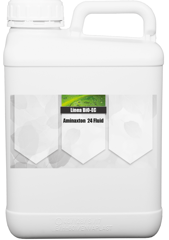 Aminaxton 24 Fluid