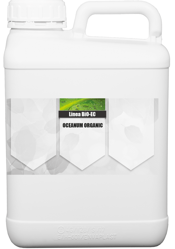 Oceanum Organic