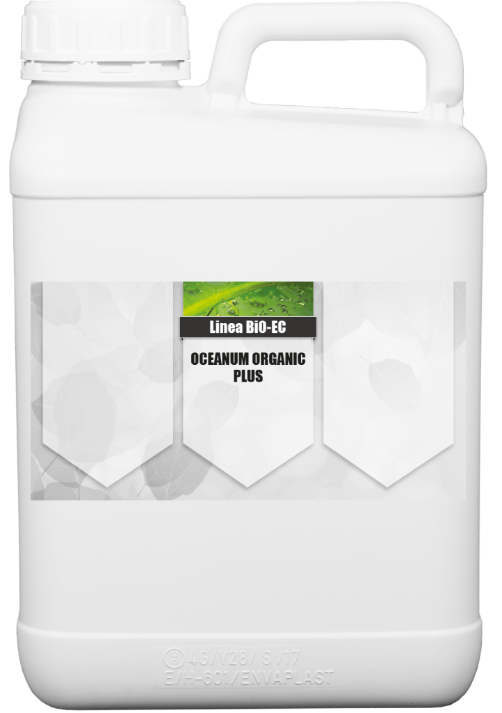 Oceanum Organic Plus