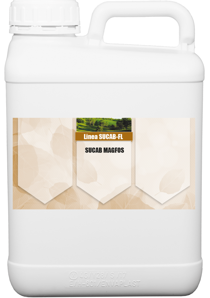 Sucab Magfos